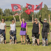 Joukkueiden suomenmestari, Tampereen seudun koirakerho.